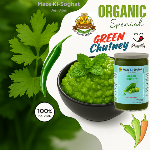 Hari Chutney (ہری چٹنی) – Homemade Desi Mint Coriander Green Chilli Chutney Pakistan